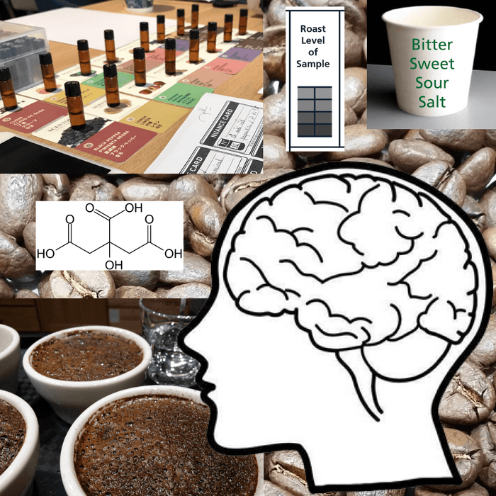 Learn Cupping, Coffee Value Assessment CVA and Sensory Analysis